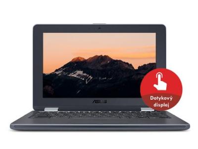 Asus Chromebook Flip C213NA