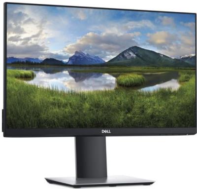 Dell P2319H