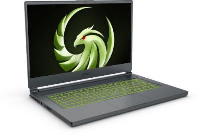 MSI Delta 15 A5EFK-061XPT