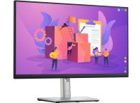 24"FullHD LED IPS monitor Dell P2422H MON141