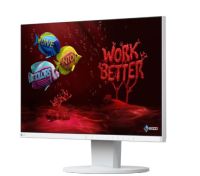  EIZO EV2450-CC949248